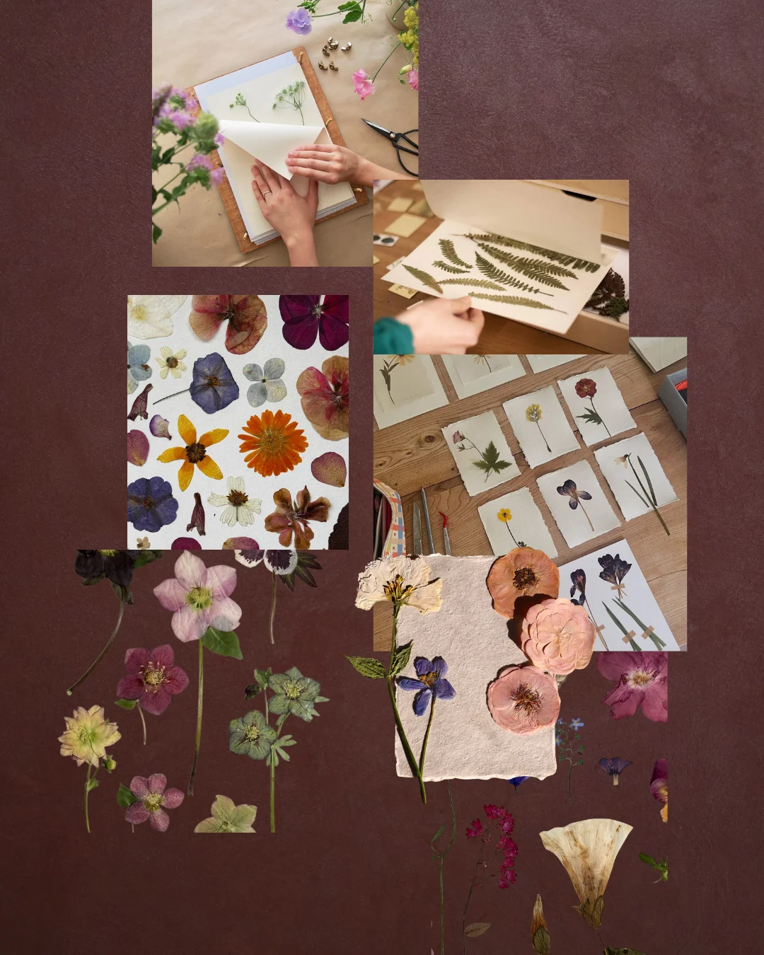 Atelier Herbier